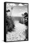 Boardwalk on the Beach - Miami - Florida-Philippe Hugonnard-Framed Stretched Canvas