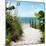 Boardwalk on the Beach - Miami - Florida-Philippe Hugonnard-Mounted Photographic Print