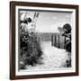 Boardwalk on the Beach - Miami - Florida-Philippe Hugonnard-Framed Photographic Print