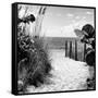 Boardwalk on the Beach - Miami - Florida-Philippe Hugonnard-Framed Stretched Canvas