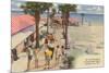 Boardwalk, Panama City, Florida-null-Mounted Premium Giclee Print