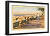 Boardwalk, Rochester, New York-null-Framed Art Print