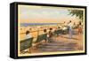 Boardwalk, Rochester, New York-null-Framed Stretched Canvas