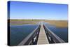 Boardwalk, Salt Marsh, Sandwich, Cape Cod, Massachusetts, New England, Usa-Wendy Connett-Stretched Canvas