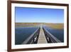 Boardwalk, Salt Marsh, Sandwich, Cape Cod, Massachusetts, New England, Usa-Wendy Connett-Framed Photographic Print