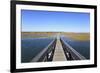 Boardwalk, Salt Marsh, Sandwich, Cape Cod, Massachusetts, New England, Usa-Wendy Connett-Framed Photographic Print