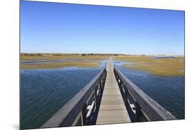 Boardwalk, Salt Marsh, Sandwich, Cape Cod, Massachusetts, New England, Usa-Wendy Connett-Mounted Photographic Print