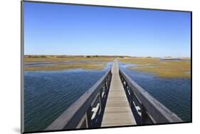 Boardwalk, Salt Marsh, Sandwich, Cape Cod, Massachusetts, New England, Usa-Wendy Connett-Mounted Photographic Print