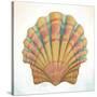 Boardwalk Scallop-Elyse DeNeige-Stretched Canvas