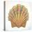 Boardwalk Scallop-Elyse DeNeige-Stretched Canvas