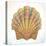 Boardwalk Scallop-Elyse DeNeige-Stretched Canvas