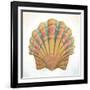 Boardwalk Scallop-Elyse DeNeige-Framed Art Print