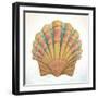 Boardwalk Scallop-Elyse DeNeige-Framed Art Print