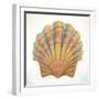 Boardwalk Scallop-Elyse DeNeige-Framed Art Print