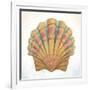 Boardwalk Scallop-Elyse DeNeige-Framed Art Print