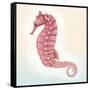 Boardwalk Seahorse-Elyse DeNeige-Framed Stretched Canvas