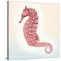 Boardwalk Seahorse-Elyse DeNeige-Stretched Canvas