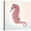 Boardwalk Seahorse-Elyse DeNeige-Stretched Canvas