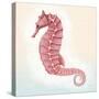 Boardwalk Seahorse-Elyse DeNeige-Stretched Canvas