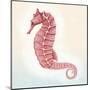 Boardwalk Seahorse-Elyse DeNeige-Mounted Art Print