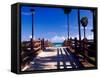 Boardwalk, South Beach, Miami, Florida, USA-Terry Eggers-Framed Stretched Canvas