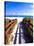 Boardwalk, South Beach, Miami, Florida, USA-Terry Eggers-Stretched Canvas