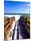 Boardwalk, South Beach, Miami, Florida, USA-Terry Eggers-Mounted Premium Photographic Print