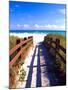 Boardwalk, South Beach, Miami, Florida, USA-Terry Eggers-Mounted Premium Photographic Print