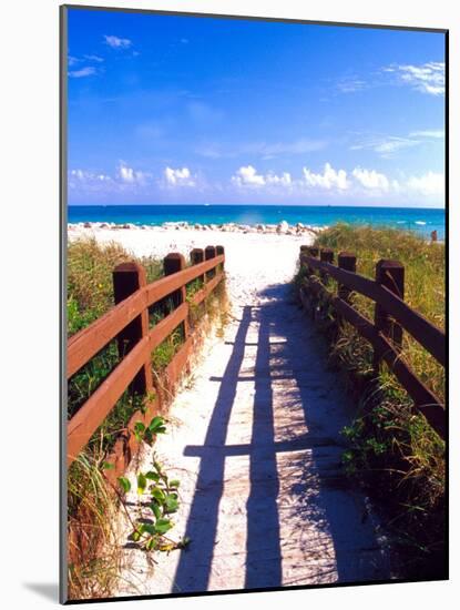 Boardwalk, South Beach, Miami, Florida, USA-Terry Eggers-Mounted Photographic Print