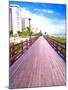 Boardwalk, South Beach, Miami, Florida, USA-Terry Eggers-Mounted Premium Photographic Print