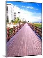 Boardwalk, South Beach, Miami, Florida, USA-Terry Eggers-Mounted Photographic Print