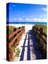 Boardwalk, South Beach, Miami, Florida, USA-Terry Eggers-Stretched Canvas