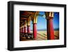 Boardwalk Stroll-Doug Nelson-Framed Art Print