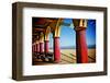 Boardwalk Stroll-Doug Nelson-Framed Art Print