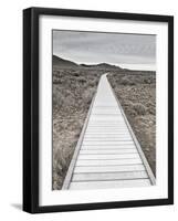 Boardwalk through the desert-David Madison-Framed Photographic Print