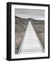 Boardwalk through the desert-David Madison-Framed Photographic Print