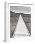 Boardwalk through the desert-David Madison-Framed Photographic Print