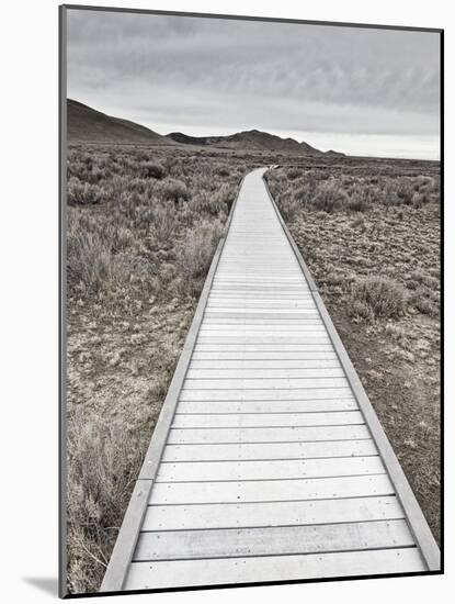 Boardwalk through the desert-David Madison-Mounted Photographic Print