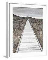 Boardwalk through the desert-David Madison-Framed Photographic Print