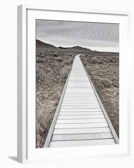 Boardwalk through the desert-David Madison-Framed Photographic Print