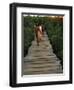 Boardwalk to Surf from Cabinas Las Olas, Avellanas Beach, Guanacaste State, Northwest, Costa Rica-Aaron McCoy-Framed Photographic Print