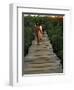 Boardwalk to Surf from Cabinas Las Olas, Avellanas Beach, Guanacaste State, Northwest, Costa Rica-Aaron McCoy-Framed Photographic Print