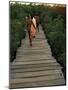 Boardwalk to Surf from Cabinas Las Olas, Avellanas Beach, Guanacaste State, Northwest, Costa Rica-Aaron McCoy-Mounted Photographic Print