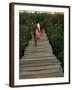 Boardwalk to Surf from Cabinas Las Olas, Avellanas Beach, Guanacaste State, Northwest, Costa Rica-Aaron McCoy-Framed Photographic Print