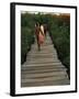 Boardwalk to Surf from Cabinas Las Olas, Avellanas Beach, Guanacaste State, Northwest, Costa Rica-Aaron McCoy-Framed Photographic Print