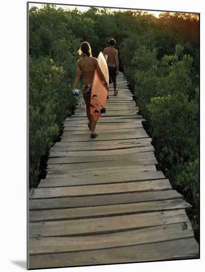 Boardwalk to Surf from Cabinas Las Olas, Avellanas Beach, Guanacaste State, Northwest, Costa Rica-Aaron McCoy-Mounted Photographic Print