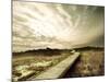 Boardwalk Winding over Sand and Brush-Jan Lakey-Mounted Photographic Print
