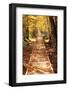 Boardwalk-Michael Hudson-Framed Art Print