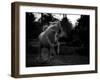 Boast-Abdullah Al-Saeed-Framed Photographic Print