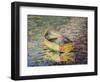 Boat 31-Kim McAninch-Framed Art Print